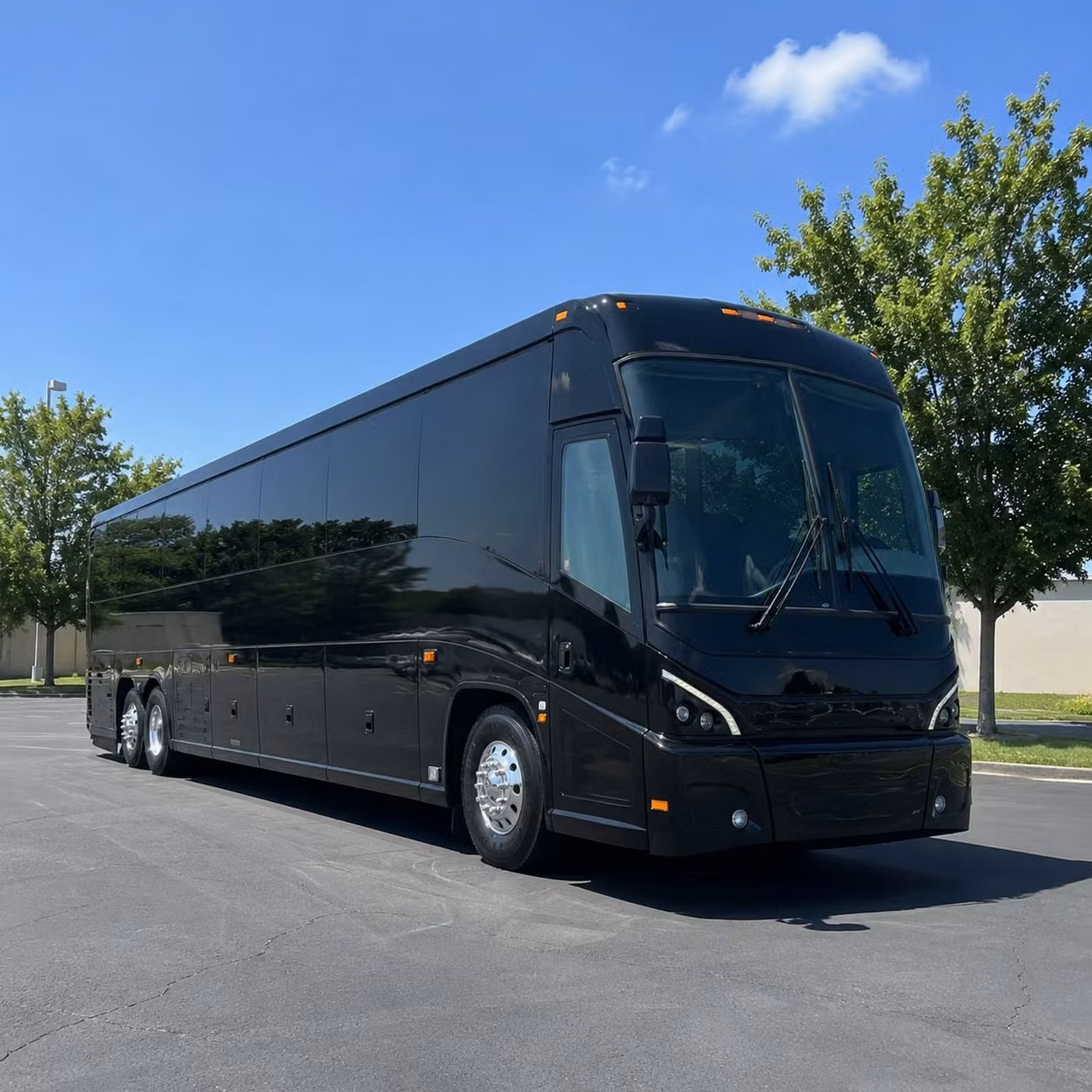 56 passenger charter bus